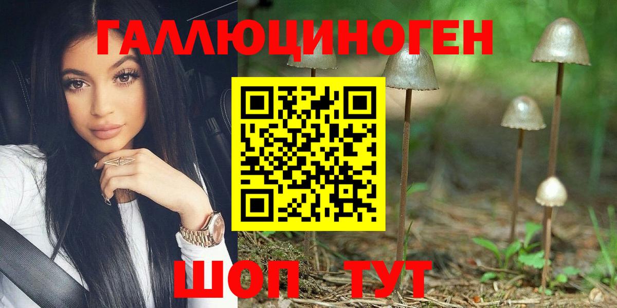 Галлюциногенные грибы Psilocybe  Вход с VPN  Галлюциногенные грибы Cubensis  Балашов 